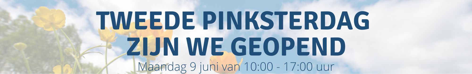 pinksteren open