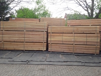 Douglas regel - 5 x 15 x 300 cm