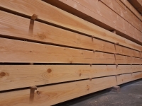 Douglas paal - 10 x 10 x 400 cm